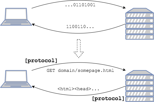 Protocols translate data