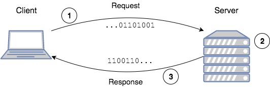 Request-Response Cycle